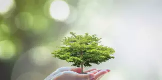 Ответы на диктант ЭкоТолк 2024